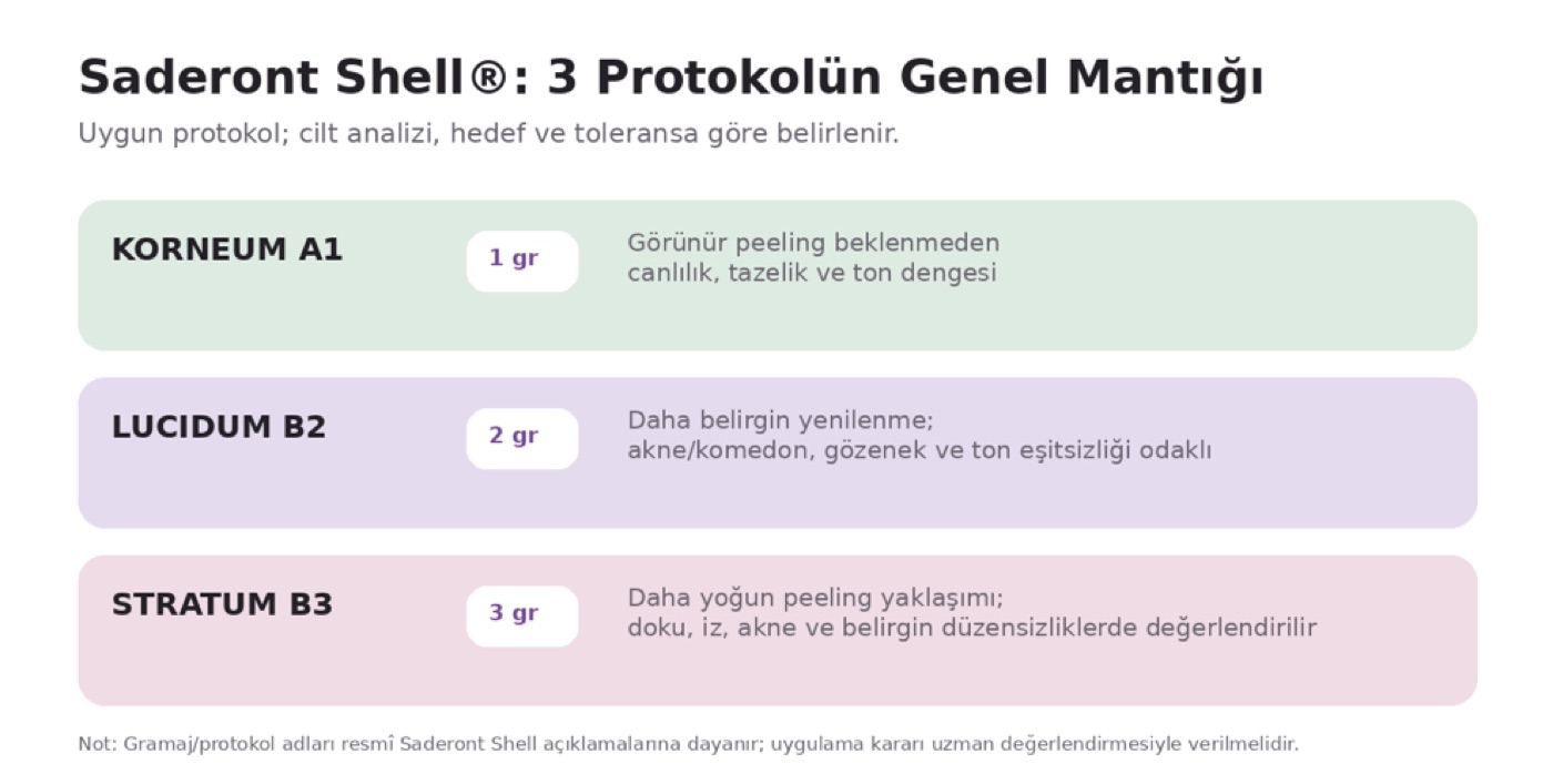 saderont shell genel mantığı